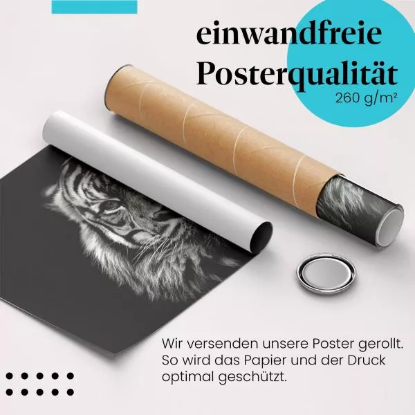 Tigerblick | Postereck 2211 Tigerblick | Postereck 2211