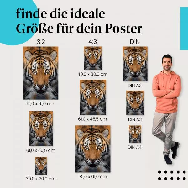 Tigerportrait | Postereck 3654 Tigerportrait | Postereck 3654