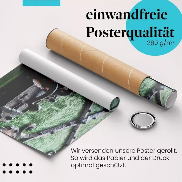 Antike Holztür | Postereck 3658 Antike Holztür | Postereck 3658