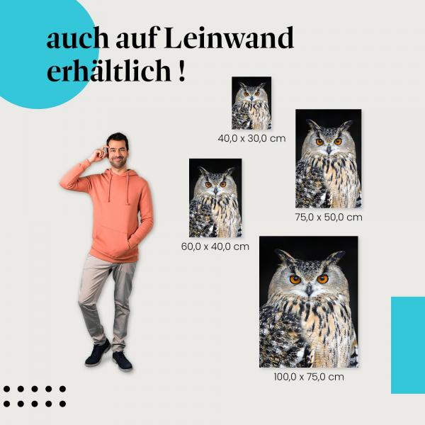 Uhu-Porträt als Leinwandbild: Der Blick des Greifvogels in deinen vier Wänden!