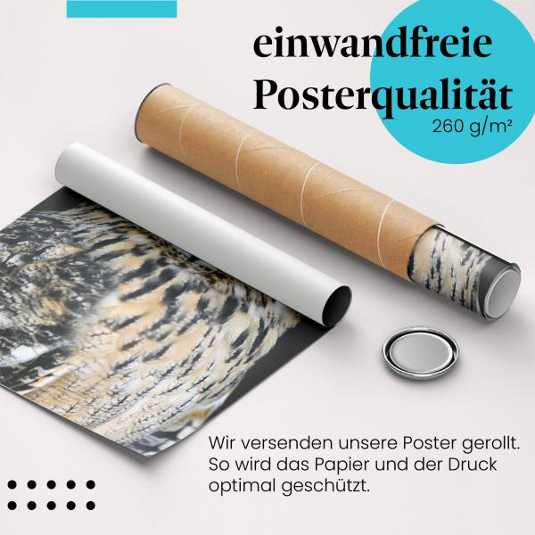 Gerolltes Poster "Uhu" - Mächtiger Greifvogel, sicher verpackt.