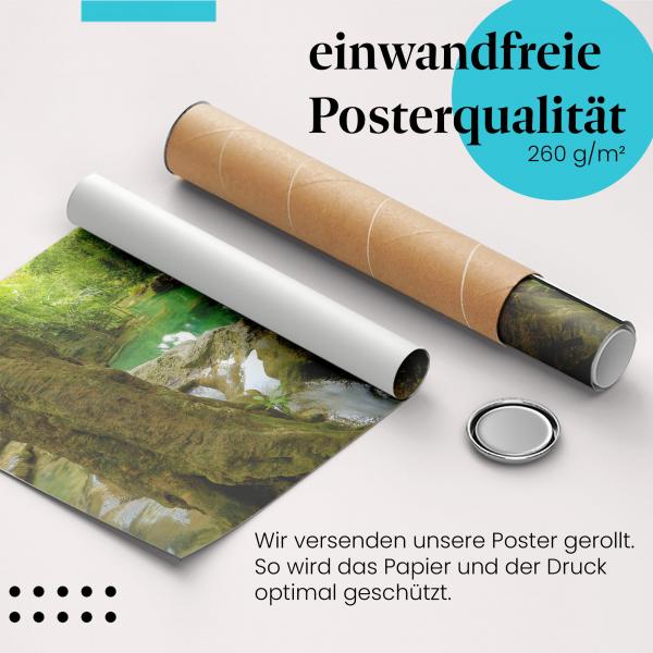 "Dschungelpool": Gerolltes Poster, versteckt.
