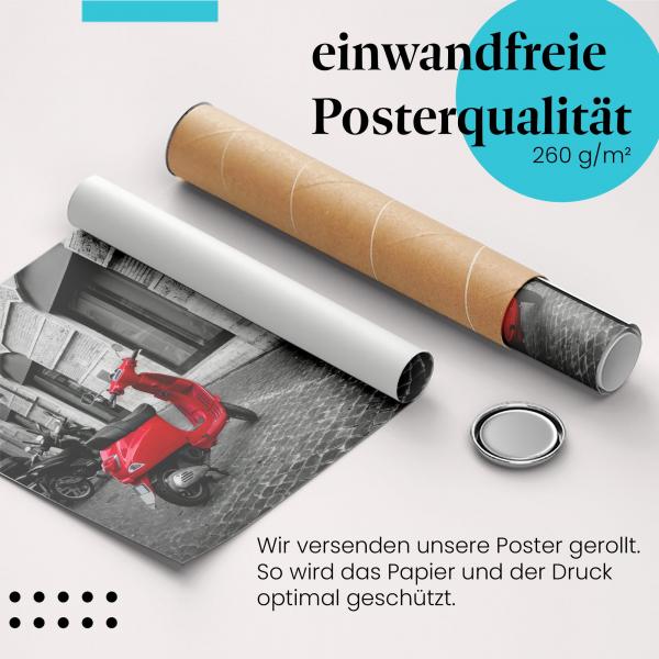 Gerolltes Poster "Vespa in Rom" - Italienische Lebensart, sicher verpackt.