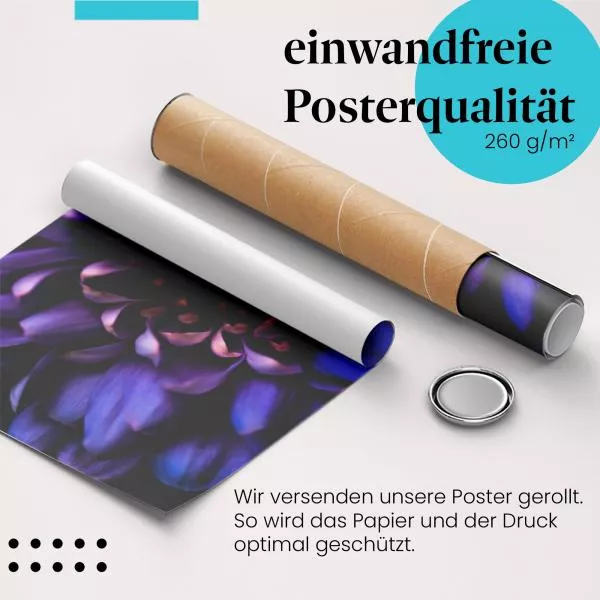 Violette Blüte | Postereck 3886 Violette Blüte | Postereck 3886