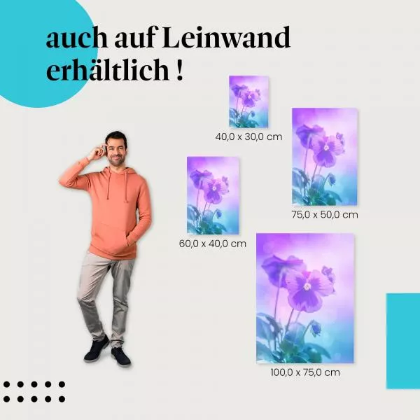 Violette Blume im Sonnenlicht | Postereck 1425 Violette Blume im Sonnenlicht | Postereck 1425