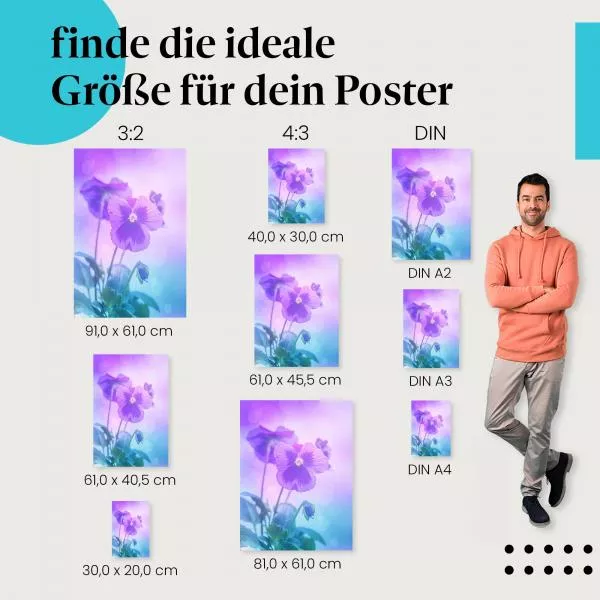 Violette Blume im Sonnenlicht | Postereck 1425 Violette Blume im Sonnenlicht | Postereck 1425