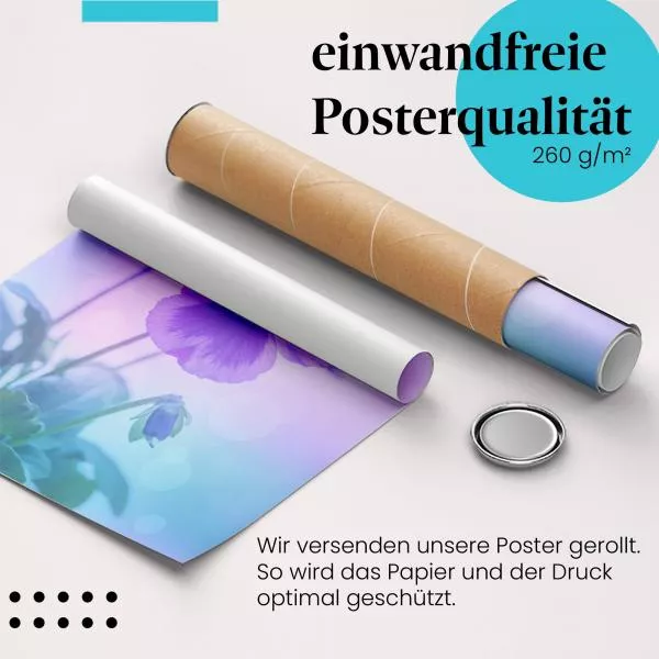 Violette Blume im Sonnenlicht | Postereck 1425 Violette Blume im Sonnenlicht | Postereck 1425