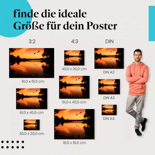 Vögel im Sonnenuntergang: Silhouette | Postereck 1454 Vögel im Sonnenuntergang: Silhouette | Postereck 1454