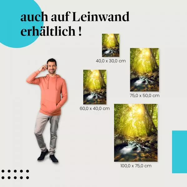 Waldbach | Postereck 2562 Waldbach | Postereck 2562