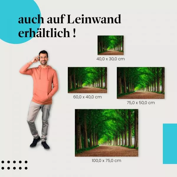 Mystischer Waldweg | Postereck 2341 Mystischer Waldweg | Postereck 2341
