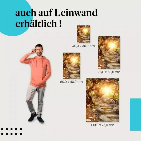 Märchenhafter Waldpfad | Postereck 3087 Märchenhafter Waldpfad | Postereck 3087