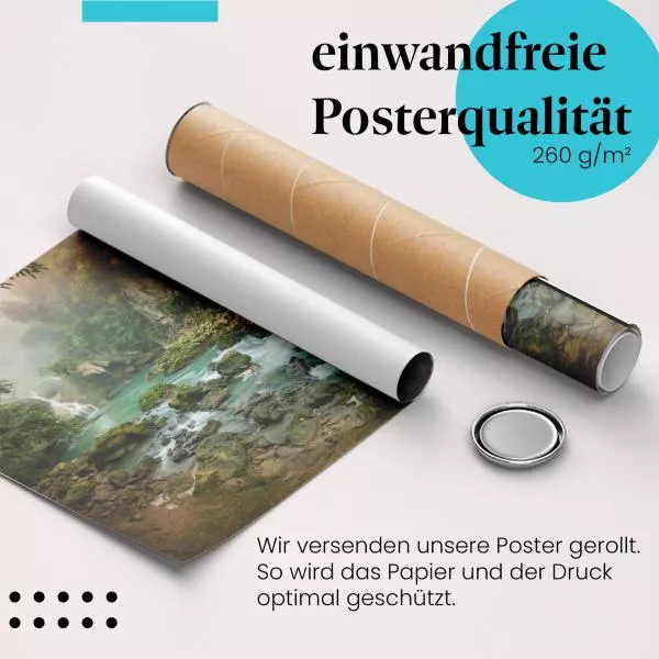 Dschungelparadies | Postereck 0917 Dschungelparadies | Postereck 0917