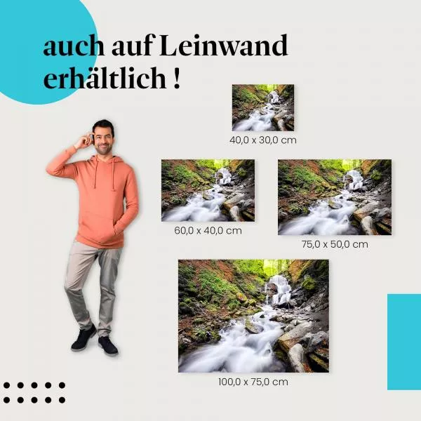 Waldwasserfall | Postereck 3048 Waldwasserfall | Postereck 3048