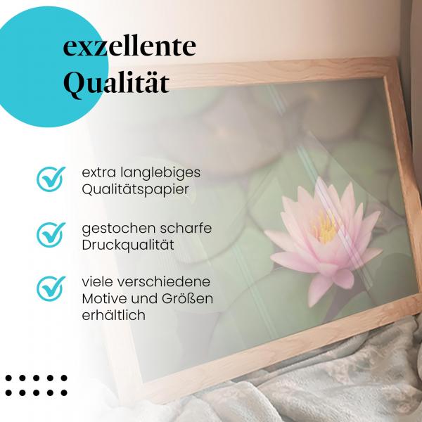 Gerahmtes Bild "Wasserlilie". Rosa Blüte, Symbol für Reinheit & Schönheit.
