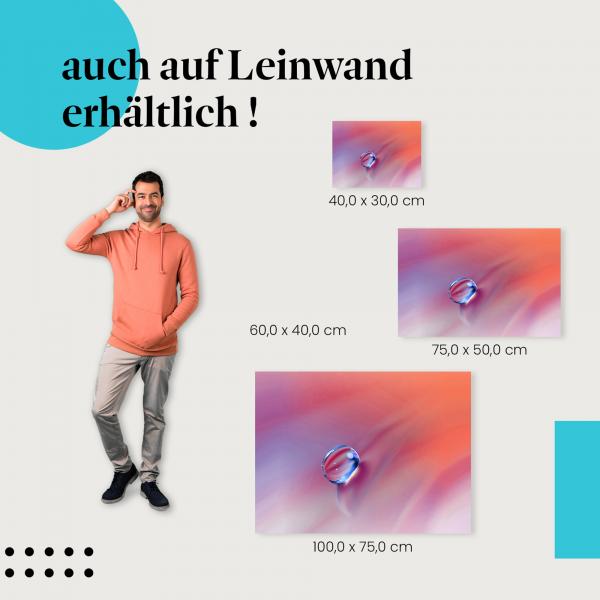 Wassertropfen: Leinwandbild. Blütenblatt, rosa.