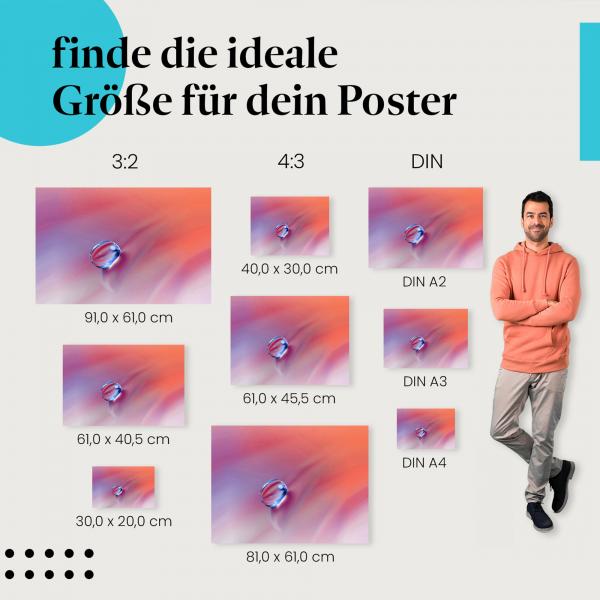 Wassertropfen, Poster: Blütenblatt, rosa, abstrakt.