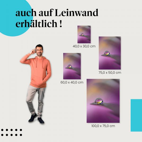 Wassertropfen: Leinwandbild. Blütenblatt, Makro, magische Stimmung.