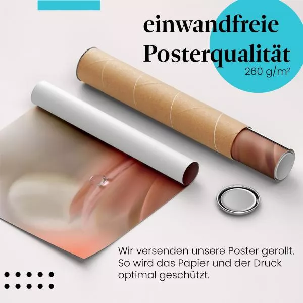 Tautropfen | Postereck 2965 Tautropfen | Postereck 2965