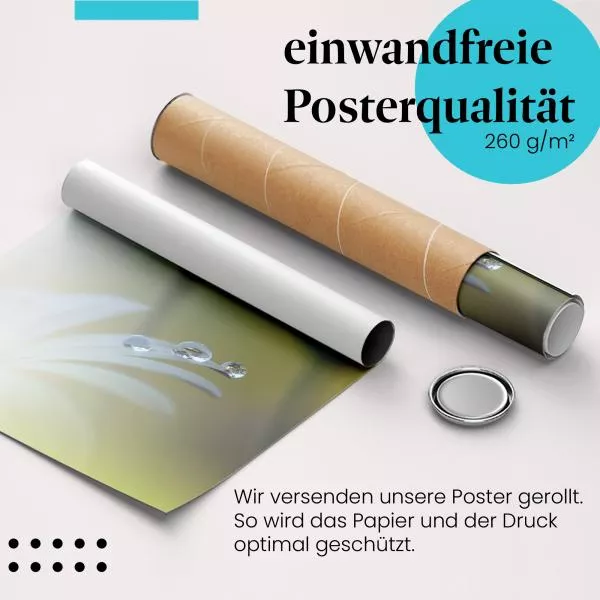 Tautropfen | Postereck 3656 Tautropfen | Postereck 3656