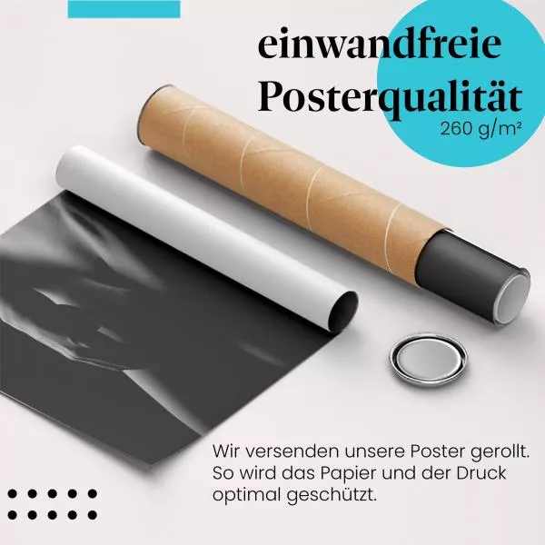 Sinnliche Formen | Postereck 2950 Sinnliche Formen | Postereck 2950