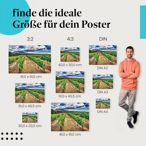 "Rebenmeer unterm Wolkenhimmel" - Poster mit Weinberg & dramatischem Himmel