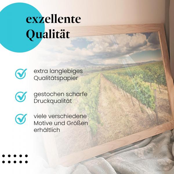 Gerahmtes Wandbild: Rebenmeer unterm Wolkenhimmel.