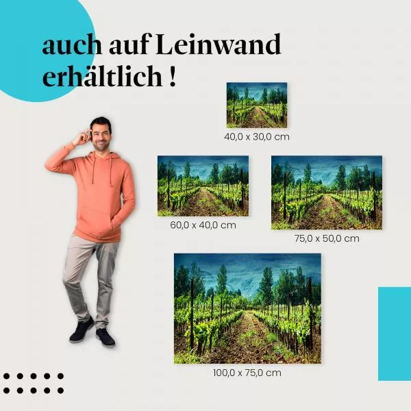 Weinberg: Grüne Rebenreihen | Postereck 1441 Weinberg: Grüne Rebenreihen | Postereck 1441
