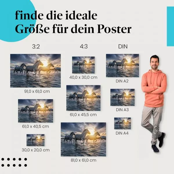 Weiße Pferde am Strand | Postereck 3210 Weiße Pferde am Strand | Postereck 3210