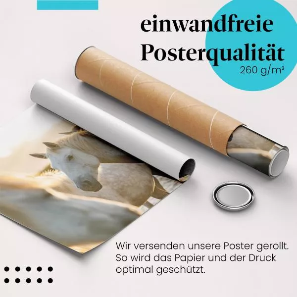 Pferde am Ufer | Postereck 3512 Pferde am Ufer | Postereck 3512