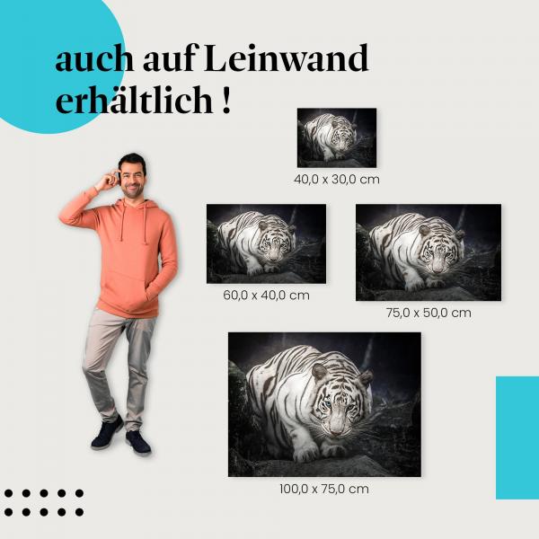Mächtiger weißer Tiger mit blauen Augen fixiert den Betrachter als Leinwandbild - beeindruckendes Tierportrait.