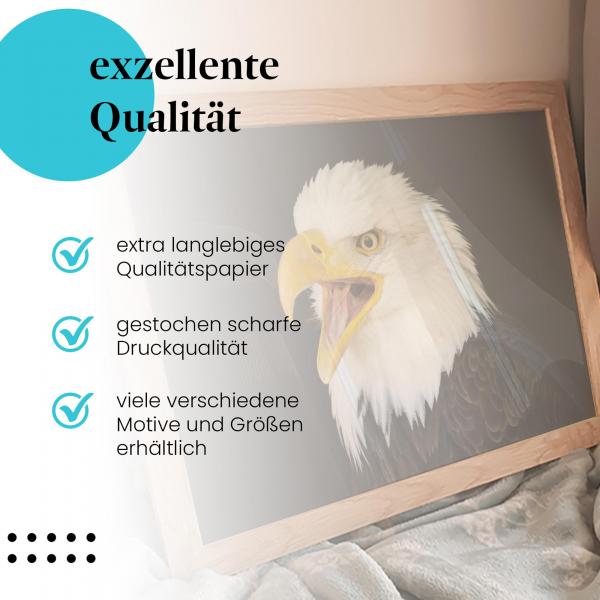 Gerahmtes Bild "Weißkopfseeadler". Greifvogel, Nahaufnahme, mächtig.