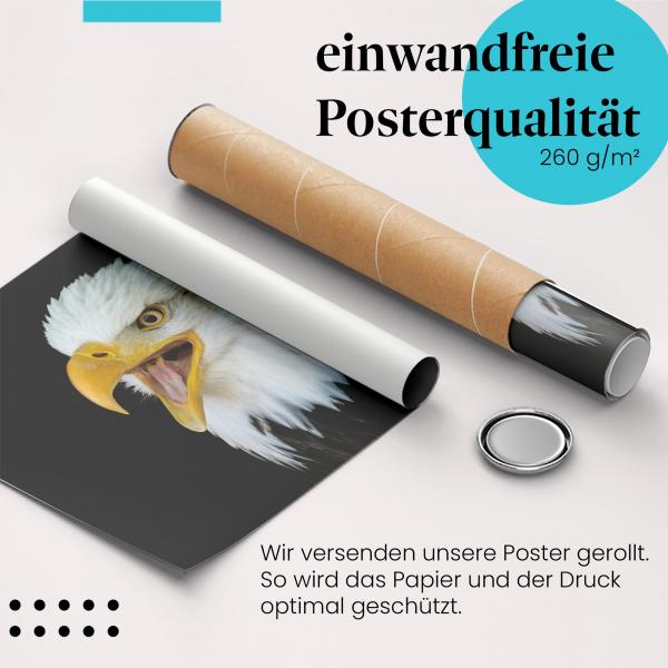 Gerolltes Poster "Weißkopfseeadler" - Amerikanisches Symbol, sicher verpackt.