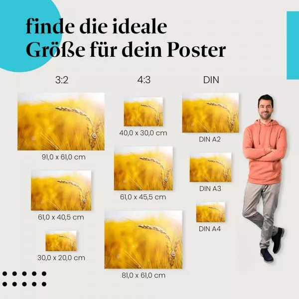 Goldene Stunde | Postereck 3931 Goldene Stunde | Postereck 3931