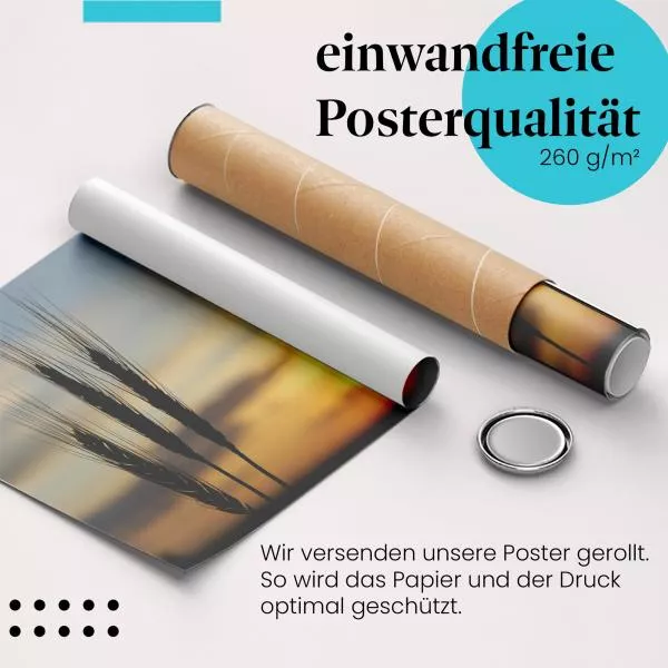 Weizenfeld: Sonnenuntergang & Ähren | Postereck 0771 Weizenfeld: Sonnenuntergang & Ähren | Postereck 0771