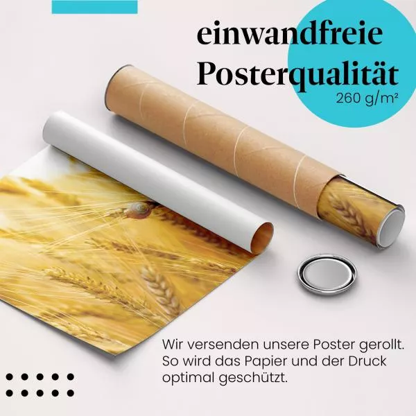 Weizenmeer | Postereck 3932 Weizenmeer | Postereck 3932