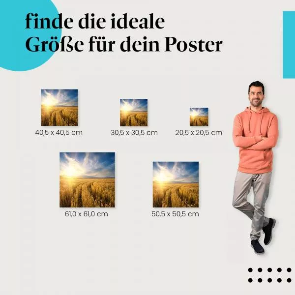 Weizenfeld | Postereck 3539 Weizenfeld | Postereck 3539