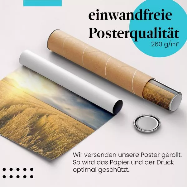 Weizenfeld | Postereck 3539 Weizenfeld | Postereck 3539