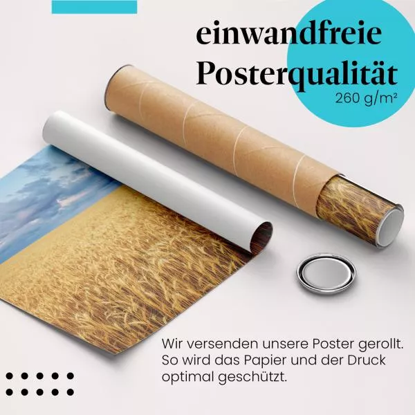 Weizenfeld | Postereck 3579 Weizenfeld | Postereck 3579