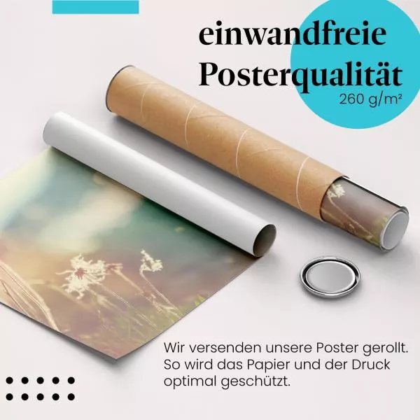Wiesenblumen | Postereck 3377 Wiesenblumen | Postereck 3377