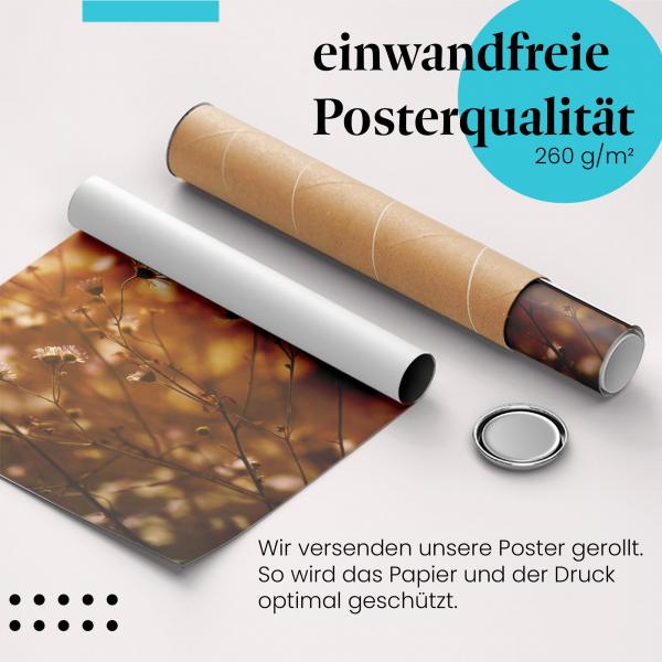 Gerolltes Poster "Wildblumen". Natur & Romantik, sicher verpackt.