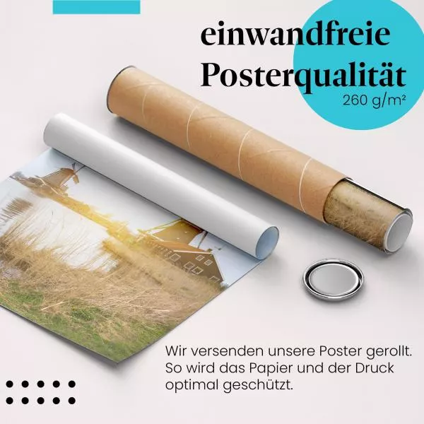 Holländische Windmühlen | Postereck 2288 Holländische Windmühlen | Postereck 2288
