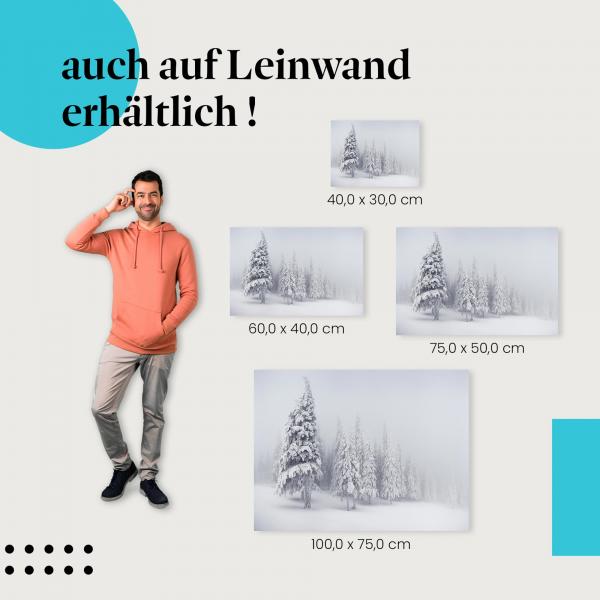 Leinwandbild "Mystischer Winterwald": Ruhe & Stille der Winterlandschaft