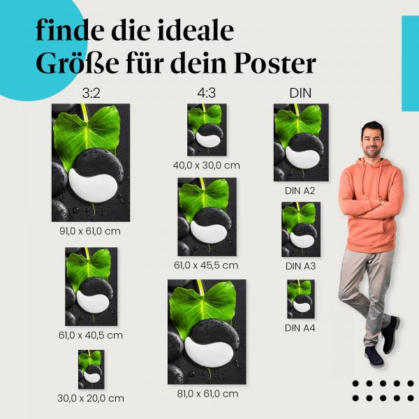 "Yin Yang Symbol auf Stein und Blatt": Poster - Harmonie, Balance & Natur