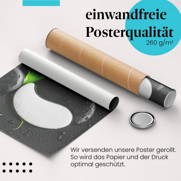 "Yin Yang": Gerolltes Poster, Symbol, Stein, Blatt.