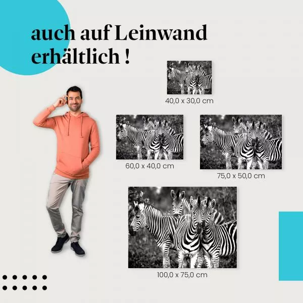 Freundschaft: Zebras in Schwarz-Weiß | Postereck 1556 Freundschaft: Zebras in Schwarz-Weiß | Postereck 1556