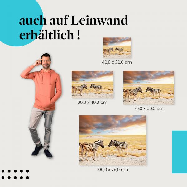 "Zwei Zebras im Abendlicht" Leinwandbild. Finde die ideale Größe für dein Zuhause & setze Akzente mit Kunst!