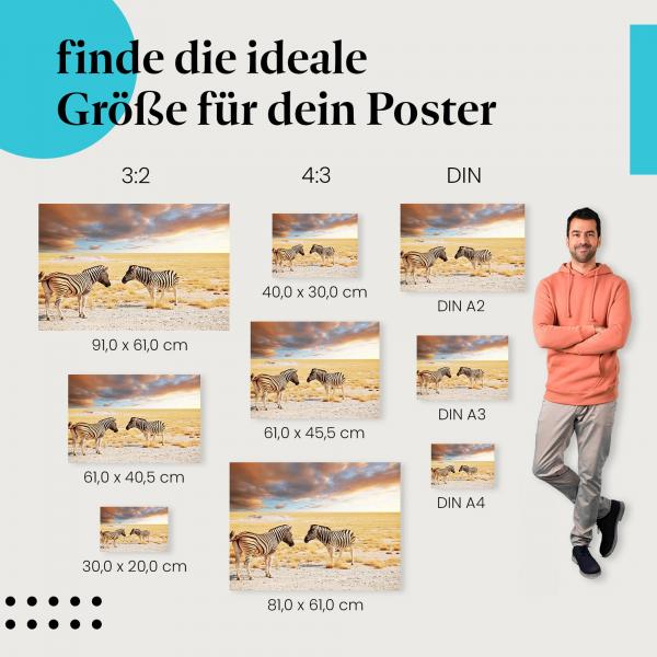 Zebras im Abendlicht Poster: Afrikanisches Flair - Poster in verschiedenen Größen!