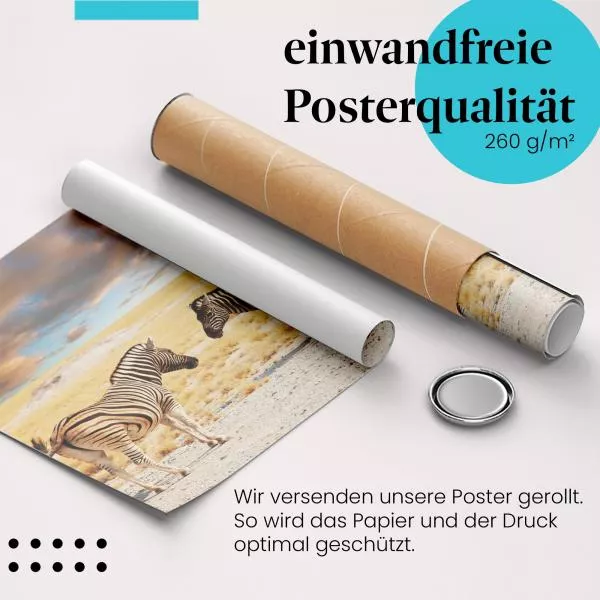 Zebras: Begegnung in der Savanne | Postereck 0627 Zebras: Begegnung in der Savanne | Postereck 0627