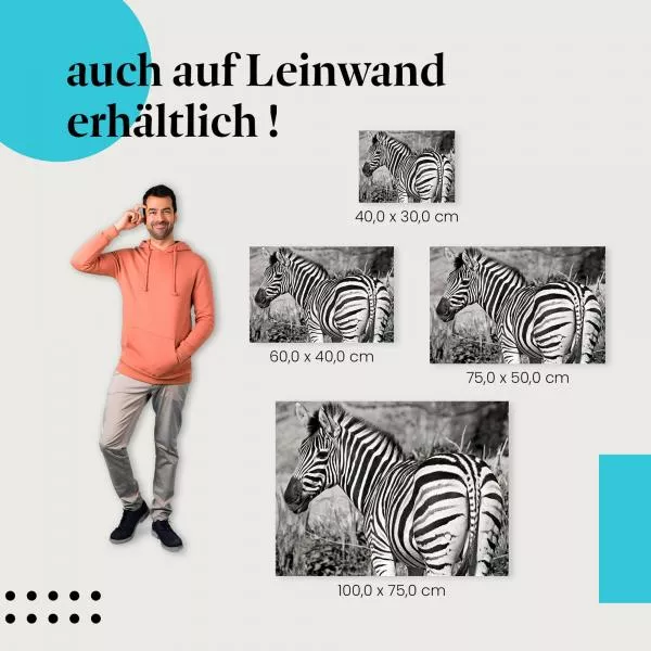 Zebra: Eleganz der Natur | Postereck 1183 Zebra: Eleganz der Natur | Postereck 1183