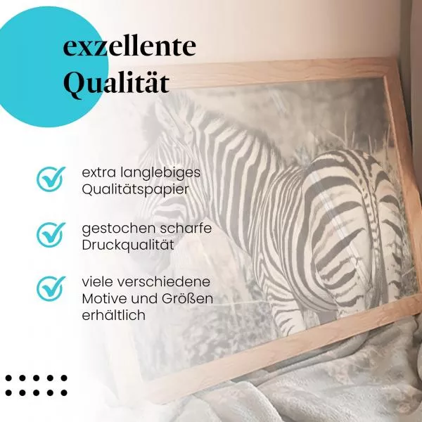 Zebra: Eleganz der Natur | Postereck 1183 Zebra: Eleganz der Natur | Postereck 1183